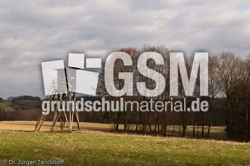 Hochstände (148 von 154).jpg